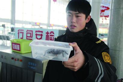 青島車站行李安檢機(jī)掃描發(fā)現(xiàn)毒蜘蛛[圖]